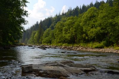 Прикрепленное изображение: DSC_0113_.jpg